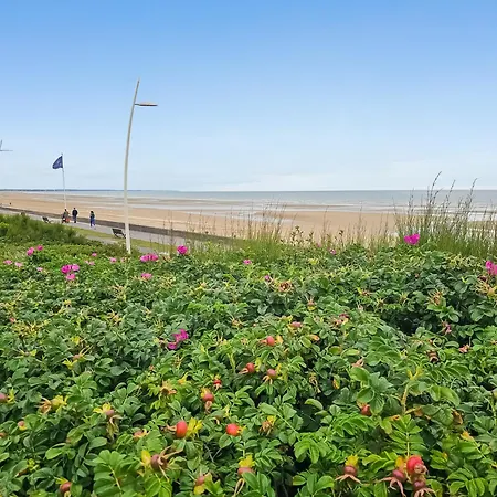 South-facing Terrace, Direct Access *